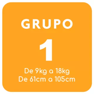 Silla de Coche Grupo 1